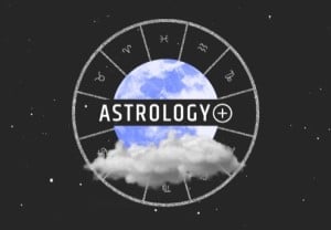 vedic astrology chart meaning